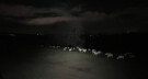 Ghostly Sheep, Near Guiseley